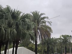 -海珠儿童公园