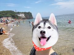 -石槽海滨浴场