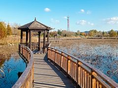 -羊亭河湿地公园