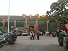 -石岐乳鸽村(南海第三分店)