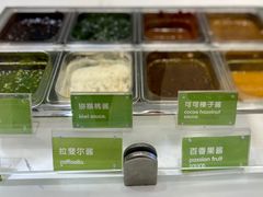 -Salud撒露欧洲冻酸奶(蓝色港湾店)