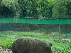 -乐和乐都主题乐园