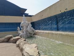 -泉城欧乐堡海洋极地世界