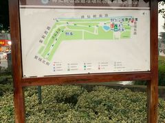 -神仙树公园