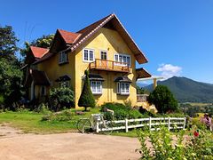 -黄色小屋