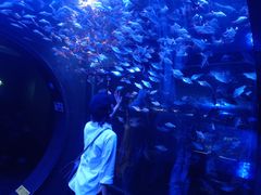 -成都浩海立方海洋公园