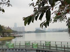 -顺峰山公园