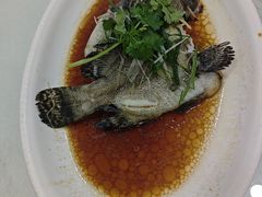 -新合益乡村农庄