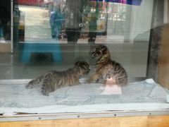 -大连森林动物园