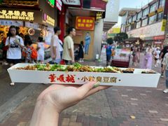 -董顺桃老长沙臭豆腐(步行街店)