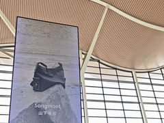 -上海浦东国际机场-T2航站楼