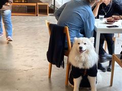 -VOYAGE COFFEE 咖啡烘焙工坊店(798艺术区店)