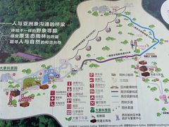 -野象谷景区