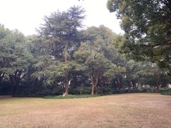 -上海花园饭店