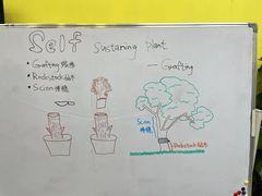 -神奇科学家STEAM科学实验科创赛事机器人编程逻辑思维MadScience(长宁来福士校区)