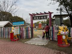 -上海佘山世茂艾美酒店