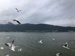 -海埂大坝