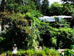 -国家植物园南园