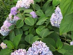 -常州古运河南大街文化旅游区-人民公园