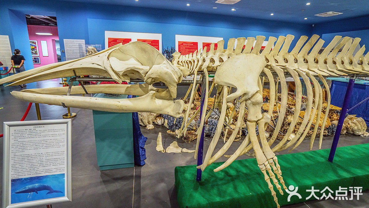 崇明长兴岛上，有一座上海长兴岛博物馆