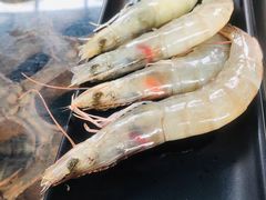 大虾-丽江庭院之爱在路上(西单店)