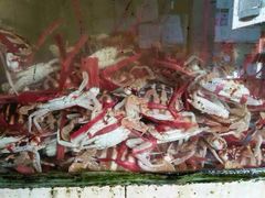 -浪琴湾尾角仔海鲜坊