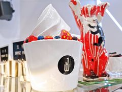 -JW德国冻酸奶Frozen Yogurt(龙湖成都滨江天街店)