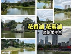 -香蜜公园