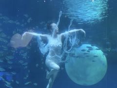 -海合安成都极地海洋公园
