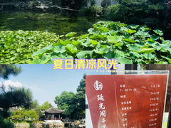 -艺圃