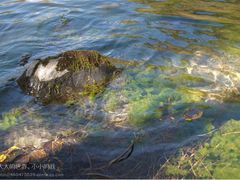 -叠溪松坪沟景区