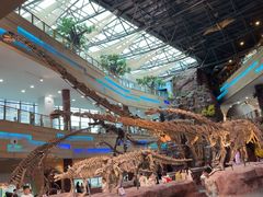 -安徽省地质博物馆