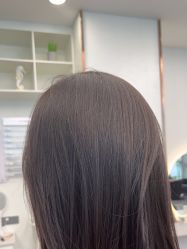 -YESIDO椰岛造型