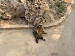 -石家庄市动物园