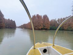 -上海海湾国家森林公园