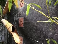 -竹鲜笙全竹宴(国色天香店)