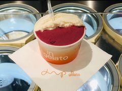 -DIP in GELATO(富民路店)