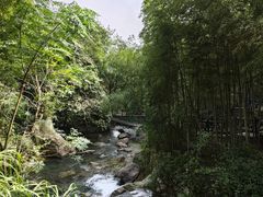 -宁波五龙潭景区