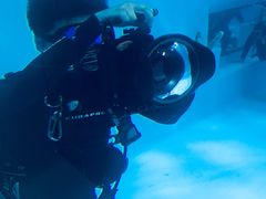 -上海潜殿潜水中心