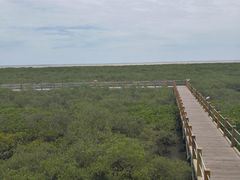 -北海金海湾红树林生态旅游区