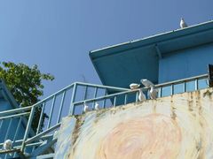 -瓷天下海丝谷