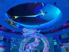 -海合安青岛极地海洋公园
