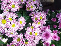 -卧龙堡客栈·中餐厅(古北水镇店)