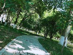 -山东大学(洪家楼校区)