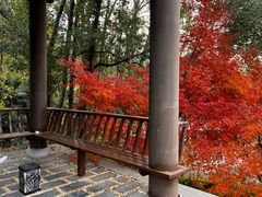 -黄陂区野村谷景区