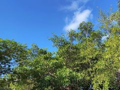 -亚龙湾国际玫瑰谷