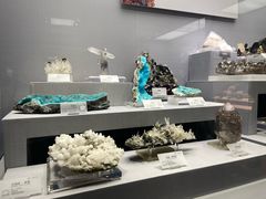 -湖南省地质博物馆