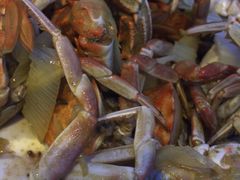 -小鱼儿海鲜港(新村十区店)