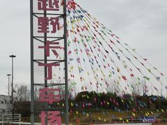 -上海长兴岛郊野公园