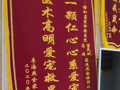 -谐和益家动物医院·免疫绝育·血液透析·宠保定点医院(高新伊藤分院)